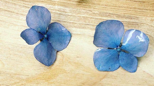 ディップアートで作る かわいい春のお花のアクセサリー5選 ドライフラワーとアクセサリーのお店 妖精の花屋 Cheeeech